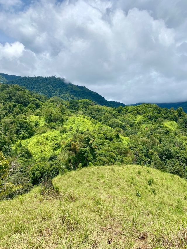 Jungle Paradise With Cascading Waterfalls And Ocean-mountain View, Ojochal