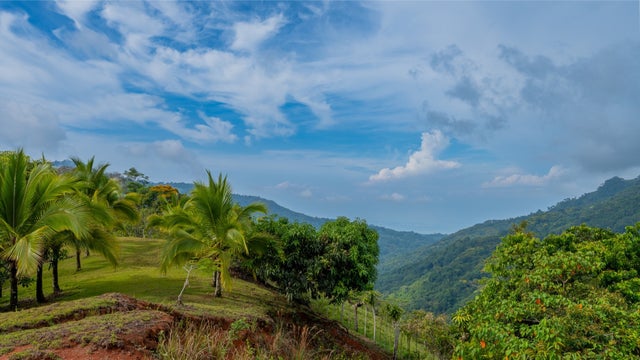 Waterfall & Ocean View Land – Ideal For Development, Perez Zeledon