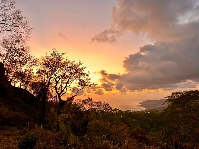 Down The Coast And Wrap Around Jungle Views In Malpais, Santa Teresa