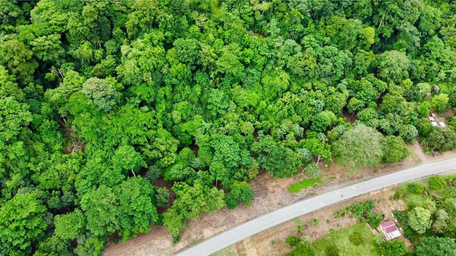 Prime Commercial And Residential Lots, Ojochal