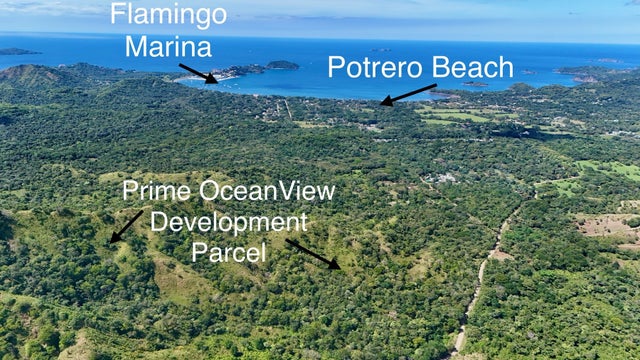 Exclusive Development Land, Flamingo