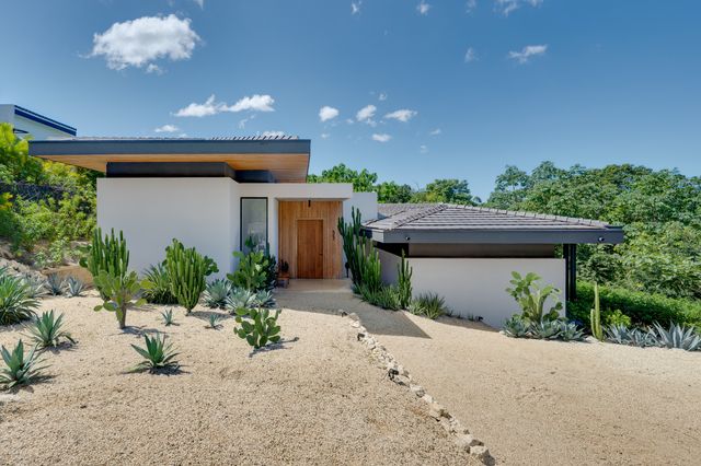 Luxury Tropical Modern Home, Flamingo