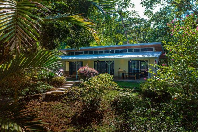 Multi Use Estate Property, Dominical