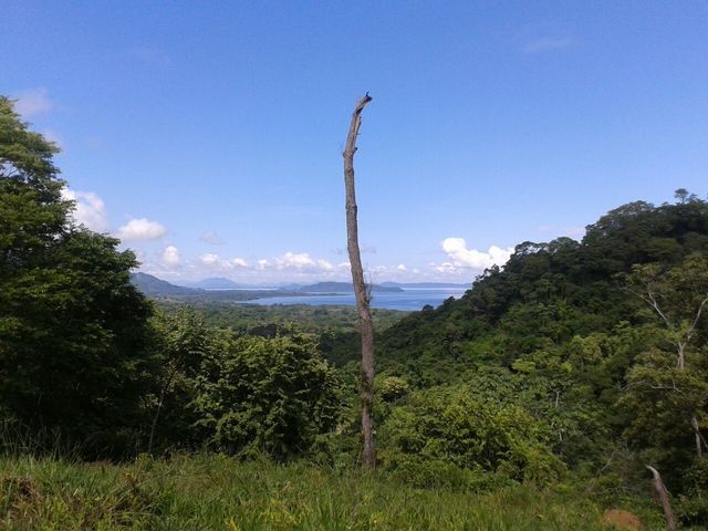 Ocean View Development Land, Puntarenas