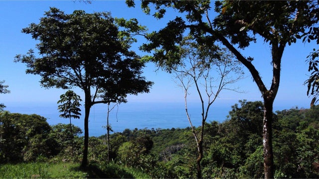 Beautiful Ocean View Estate Lot In Costa Verde Estates, Dominical