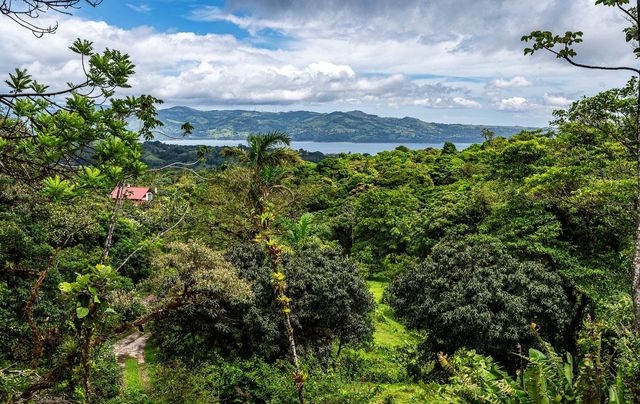 Home And Guesthouse With Tourism Business, Lake Arenal