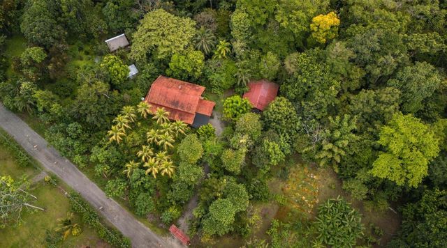 Development Estate With Home And Cabin, Puerto Jimenez