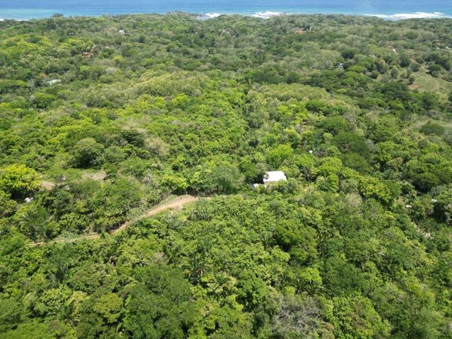 Prime Development Opportunity, Nosara