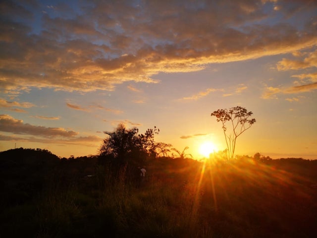 Developer's Dream Opportunity, Manuel Antonio