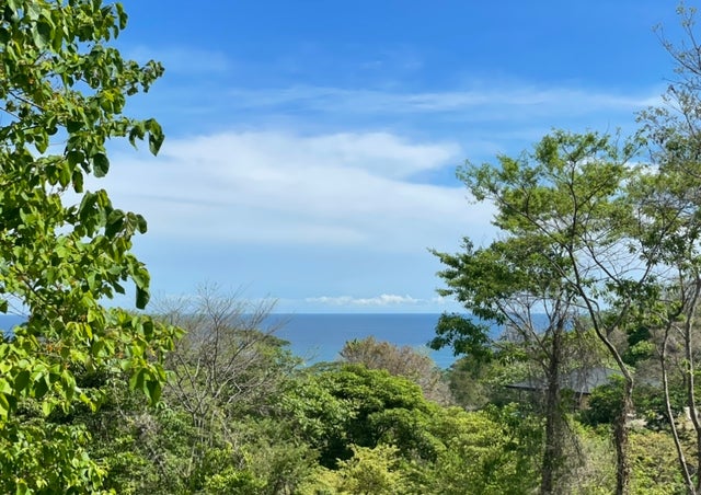 Commercial Ocean View Hermosa Lot, Santa Teresa