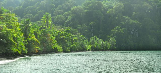 Osa Waterfront Lodge, Golfito