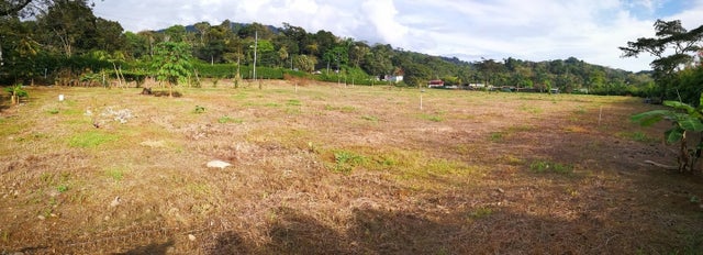 Uvita South Commercial, Dominical