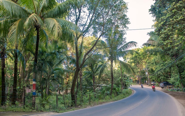 Great Commercial Potential, Nosara