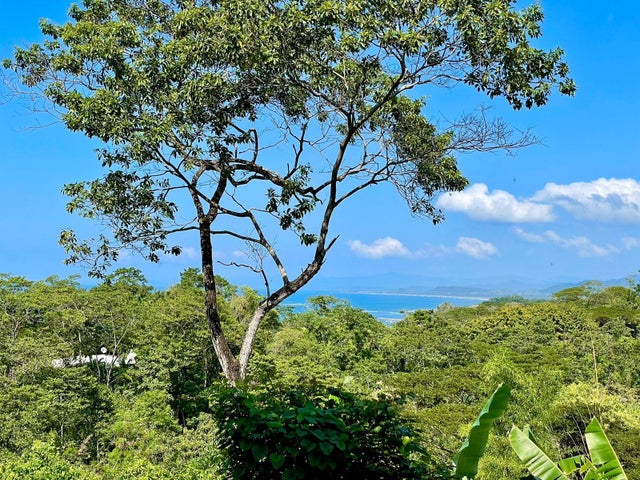 Gorgeous Manzanillo Bay Views, Santa Teresa