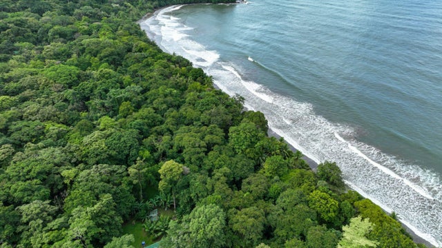 2.75 Acre Beachfront Property With Bonus Wooden House, Dominical