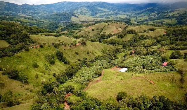 Fabulous 74 Acres Farm With River And Lots Of Building Sites, Perez Zeledon