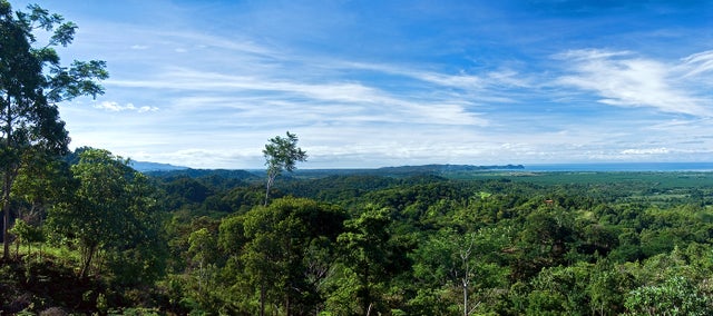440 Acre Eco Development Land Parcel, Manuel Antonio