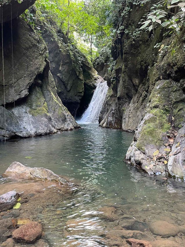 Finca Palo Grande, Manuel Antonio