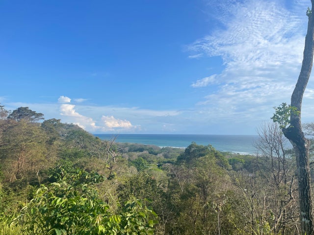 Gorgeous Ocean View Lot In Playa Hermosa, Santa Teresa