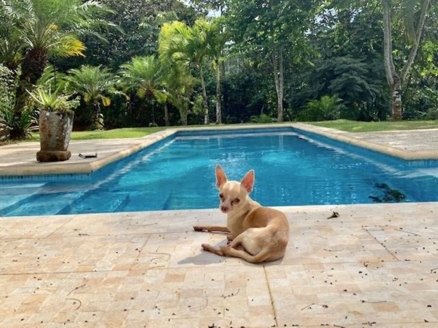 6-hectare Dream Estate In Platanillo With Waterfall, Perez Zeledon