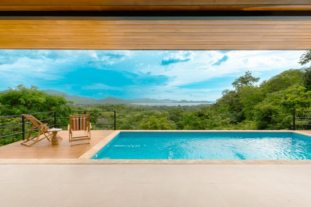 Casa Amarillo, Flamingo