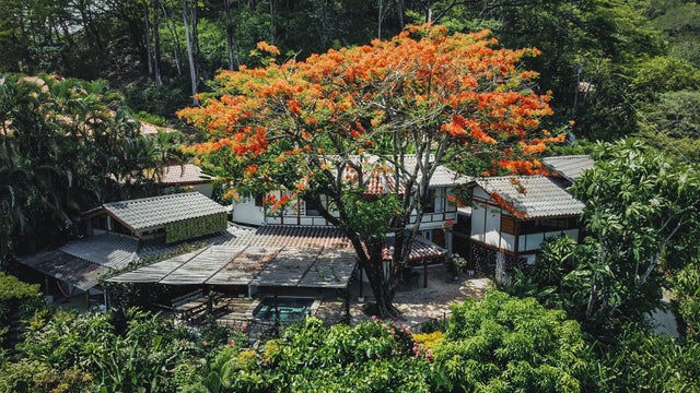 Ocean View Home And Apartments, Santa Teresa