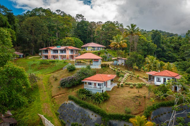 Mountain-side Oasis: Spectacular Ocean View Property With Endless Investment Potential, Perez Zeledon