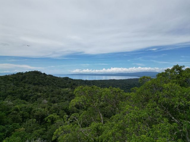Large Farm With Golfo Dulce View, Golfito