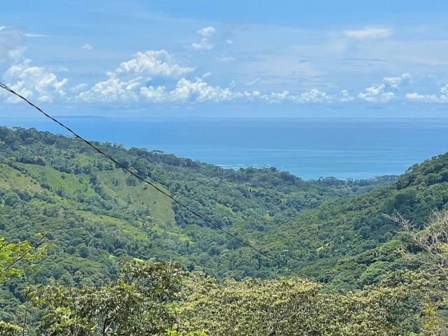 San Josecito Estate With Panoramic Ocean View, Dominical