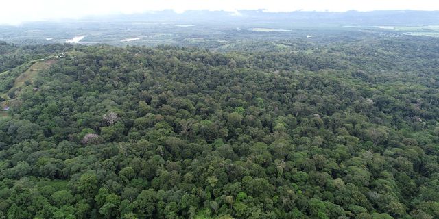 Prime Forest Land With Stunning Ocean And River Views, Golfito