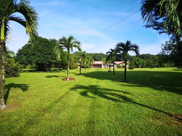 Orotina Mango Tree Paradise Estate, Alajuela