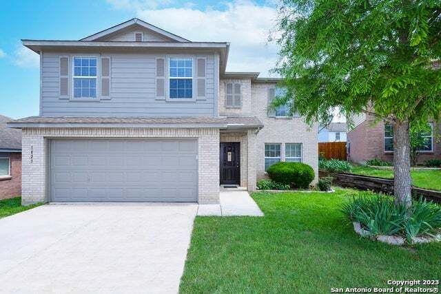 1823 Purple Tansy, San Antonio