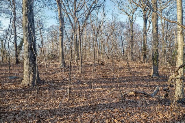 # Cove Neck Road, Cove Neck