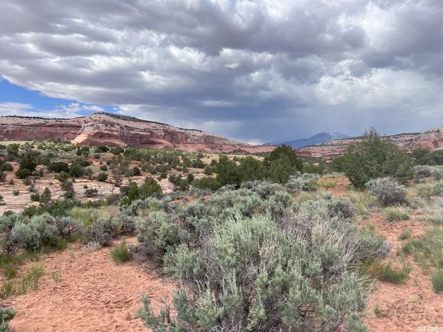 49 W Ryan Ct 2, Moab