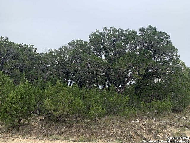 Lot 463 Topside, Bandera