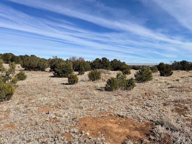 64 Saddle Spur Trail, Edgewood