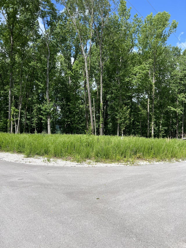 0 Back Ranch Dr, Silver Point