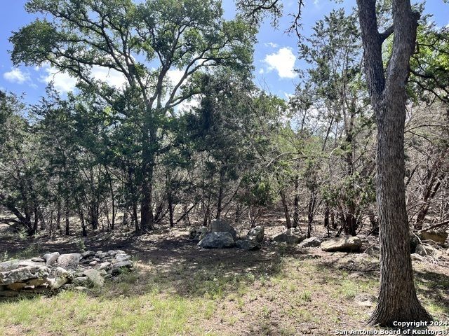 1656 Cypress Pass Road, Spring Branch