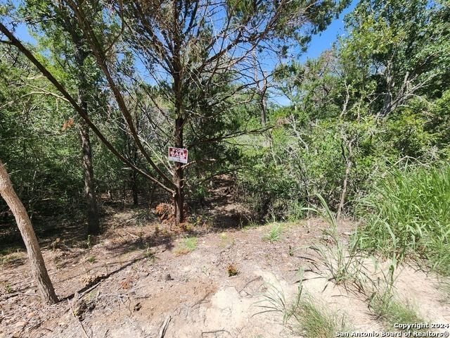 240 Iva Lane, Bastrop
