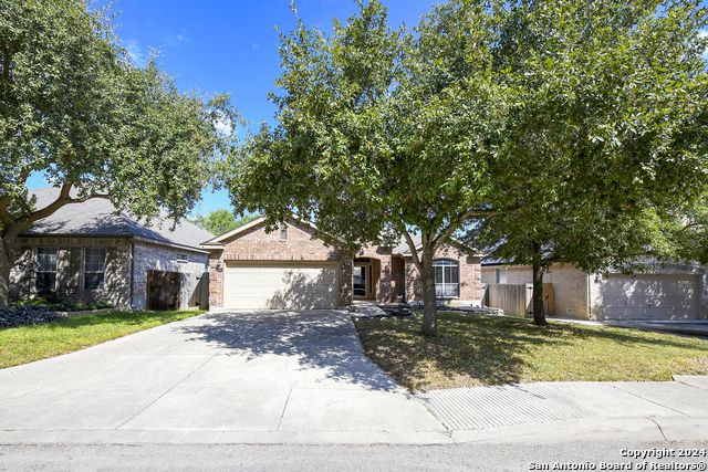 11615 Huisache Daisy, San Antonio