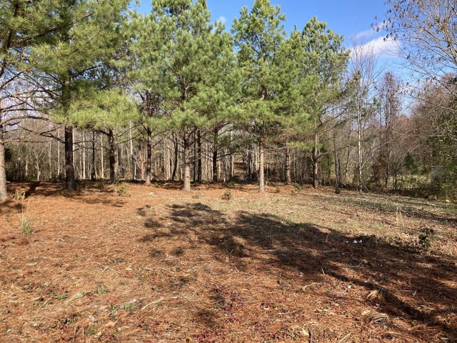 0 Highway 20, Summertown