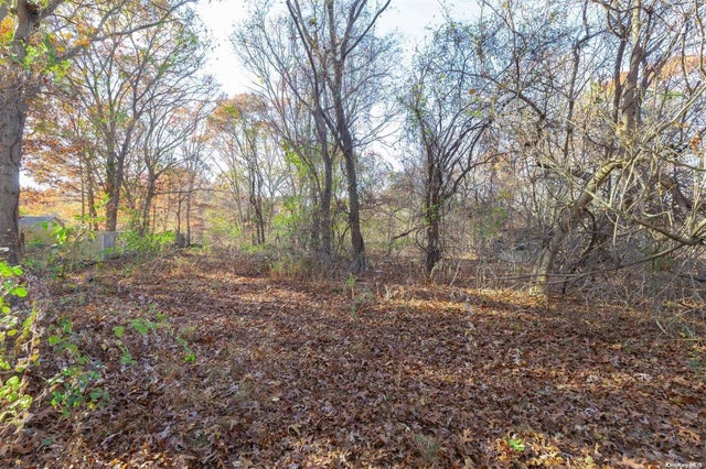 Oxhead Road, Centereach