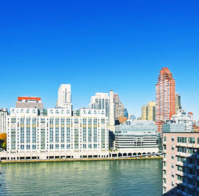 555 Main Street, Unit 1315, Roosevelt Island