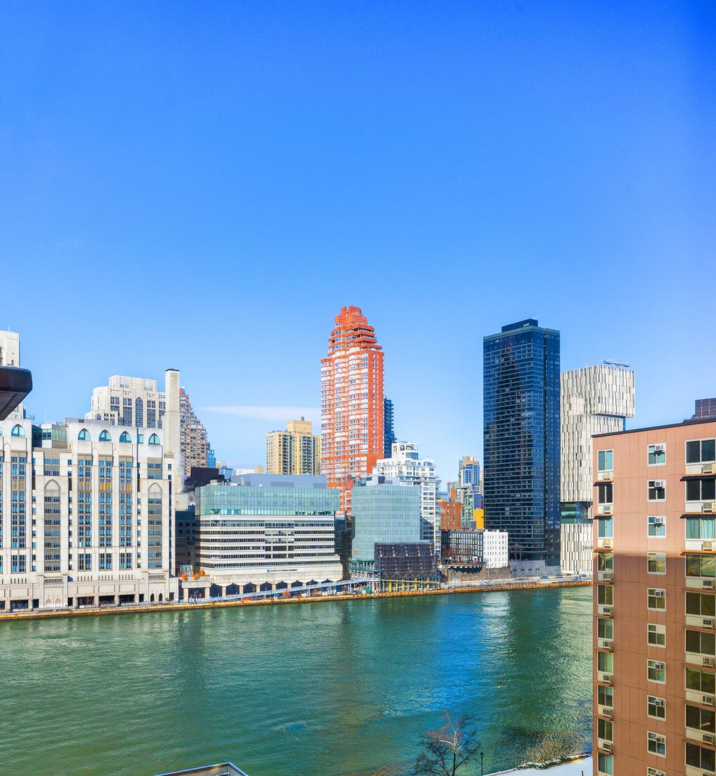 555 Main Street, Unit 1002, Roosevelt Island