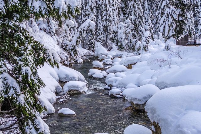 74 Erste St Bend, Unit 1205, Snoqualmie Pass