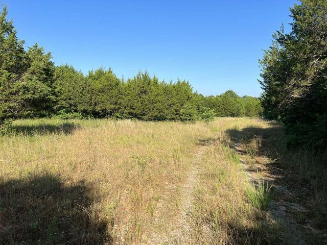 12840 Mount Pleasant Rd, Rockvale