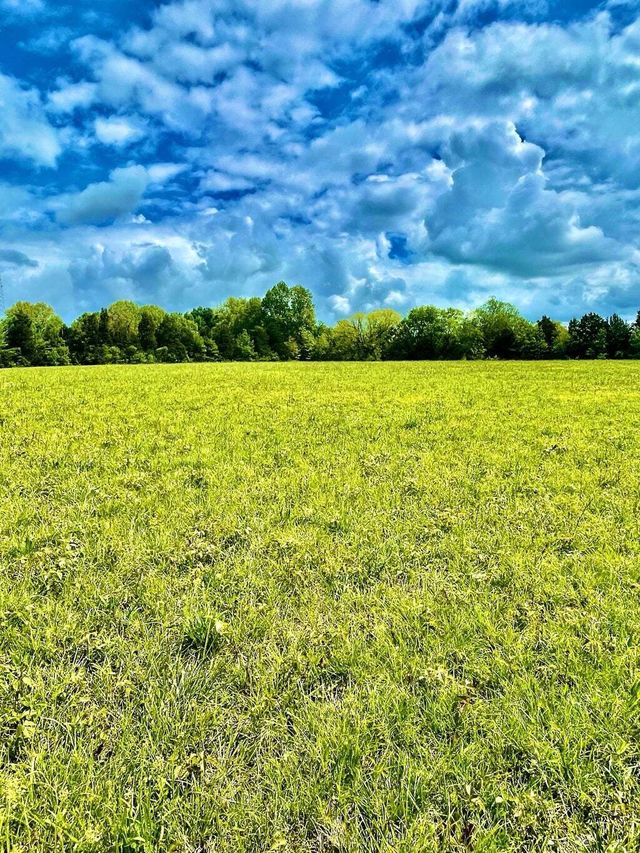 0 Lot 3 Warner Bridge Rd, Shelbyville