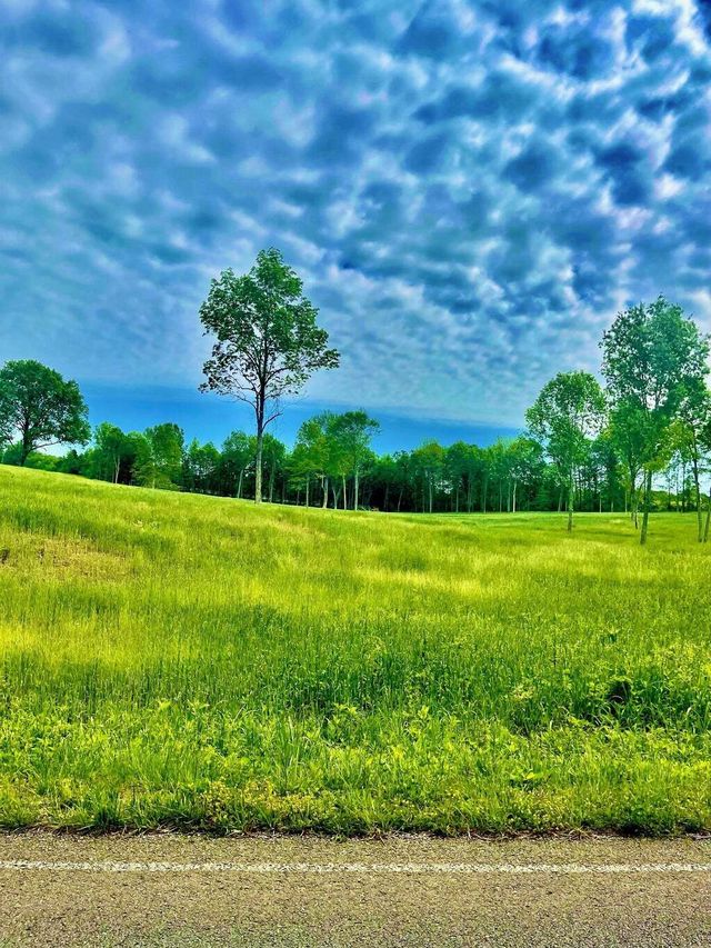 0 Lot 6 Warner Bridge Rd, Shelbyville