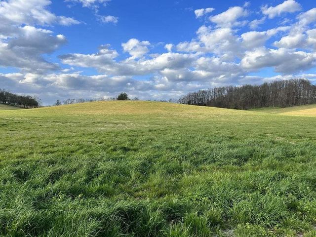 0 John Brinkley Rd, Shelbyville
