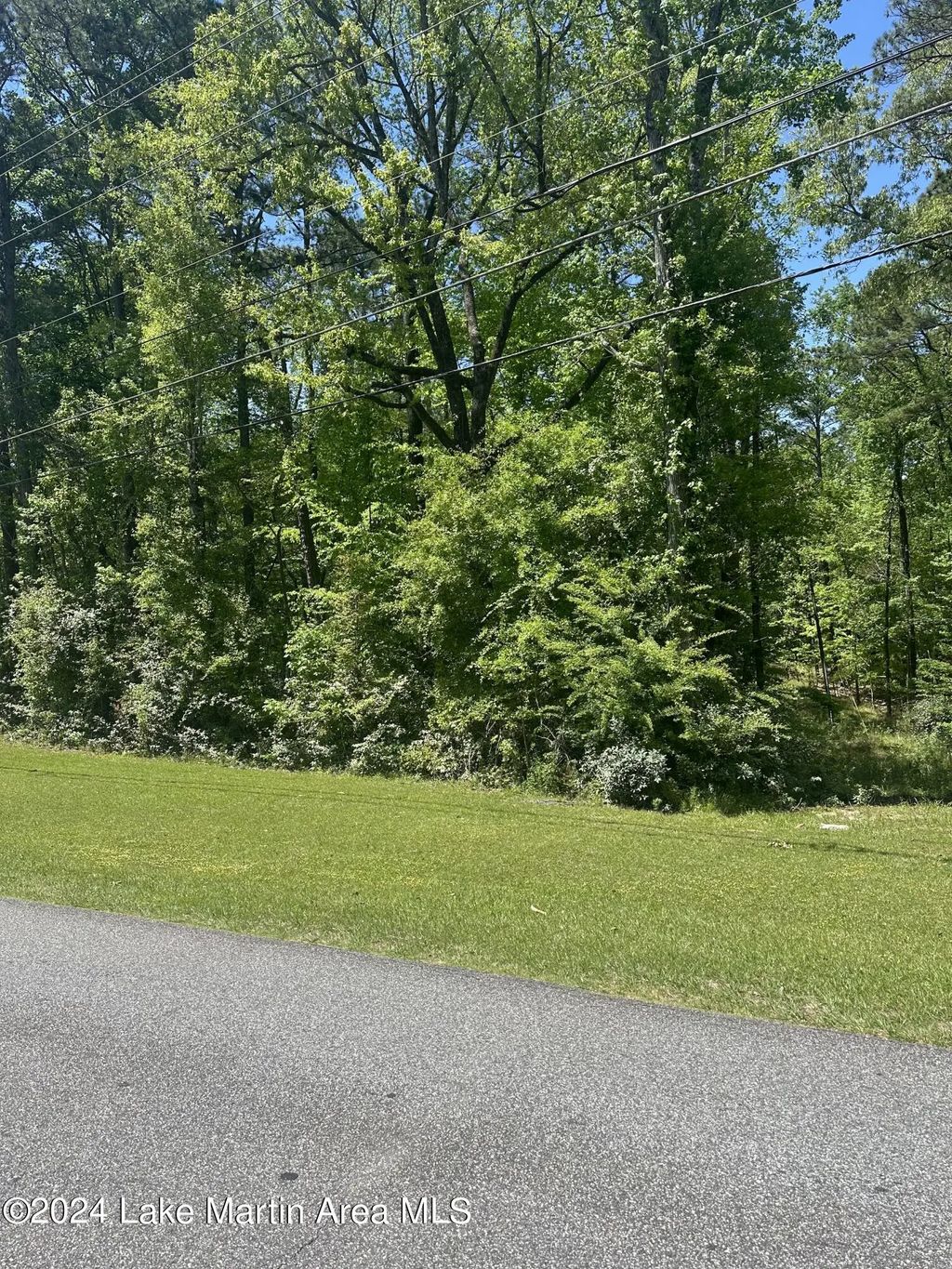 Lot 104 Beach Island Trace, Dadeville